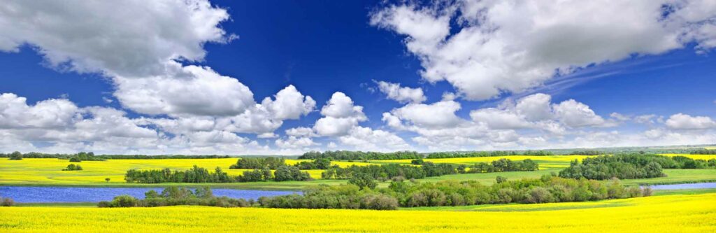 EDOC Acquisition Corp. Announces Business Combination Agreement with Australian Oilseeds Investments Pty Ltd