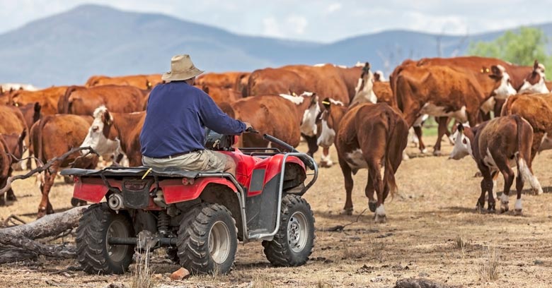 Australia’s Exports of Natural Resources to China Remain Unaffected amid Rising China – Australia Tension